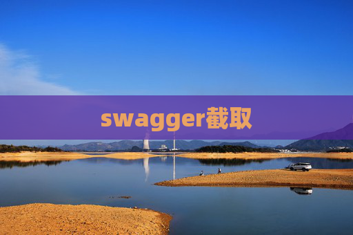 swagger截取